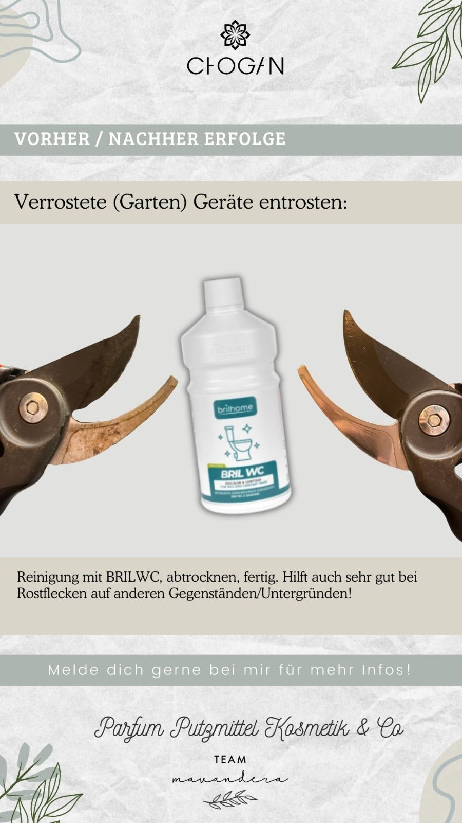 BRILWC- Kraftreiniger Konzentrat mit bleichender Wirkung (Rost Entferner)