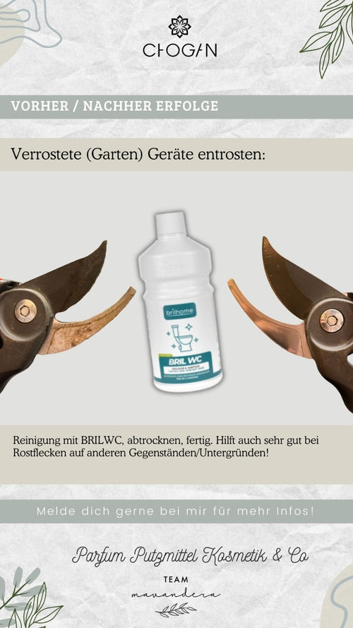 BRILWC- Kraftreiniger Konzentrat mit bleichender Wirkung (Rost Entferner)